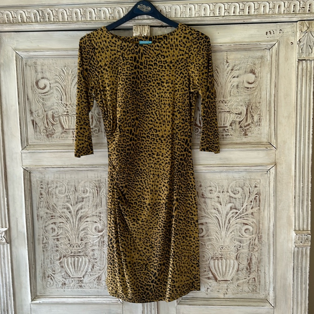 J McLaughlin Catalina leopard dress